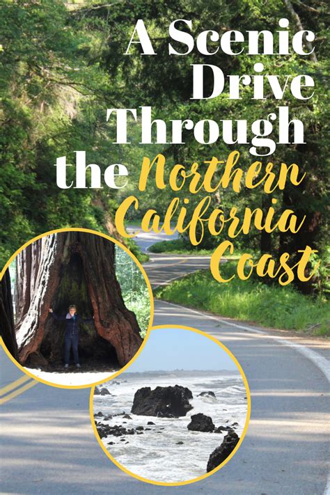 A Scenic Drive Through The Northern California Coast Two Travelling