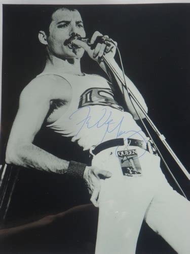 Freddie Mercury Hq Freddie Mercury Photo 31872932 Fanpop