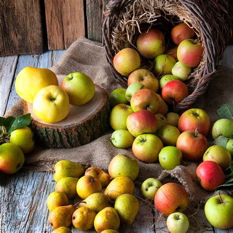 Best Apples For Everything From Pie To Salads Ask The Food Geek