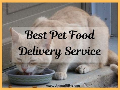 Learn about our dog delivery and puppy transport service. Best Pet Food Delivery Service: Which is it? - Animal Bliss