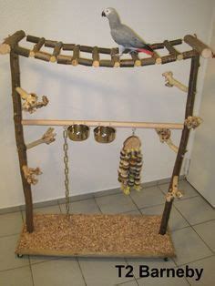 We did not find results for: DIY Bird Projects | Parrot toys, Diy bird toys, Bird toys