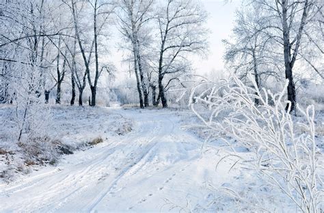 Schnee Winter Landschaft Kostenloses Foto Auf Pixabay Pixabay