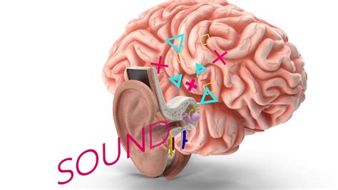 How To Interpret Hearing Test Results Youtube