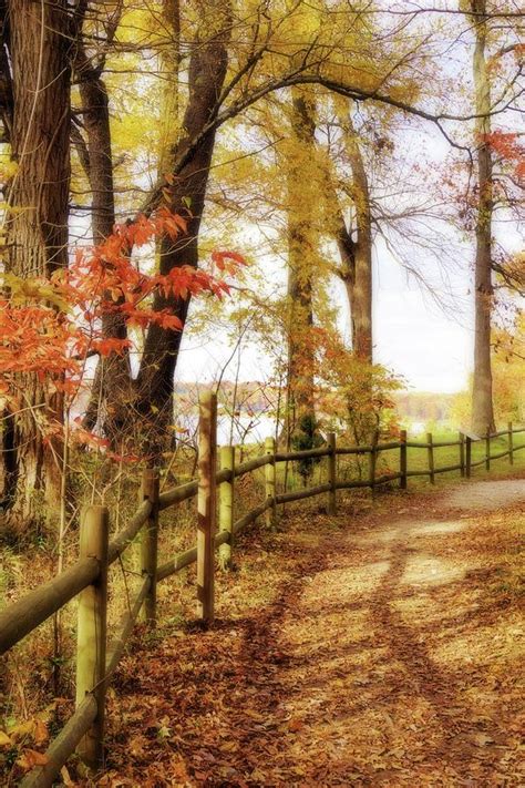 Autumn Pathway Photograph By Jean Goodwin Brooks Fine Art America