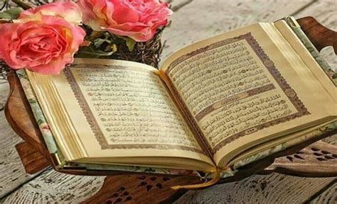تفاصيل حرق نسخة من القرآن في السويد على يد متطرف بوابة ورقة وقلم
