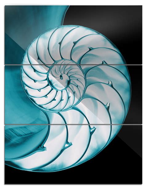 Chambered Nautilus Shell Metal Wall Art 3 Panels 28x36