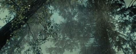 Images of dark rainy anime background. Rain - Imgur | Rain gif, Mystical forest, Love rain
