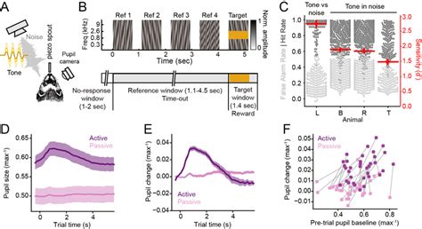 Pupil Size Correlates With Task Engagement A Schematic