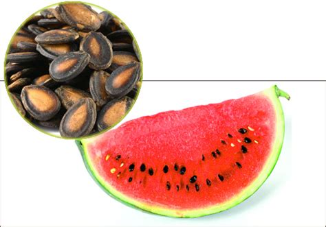 Comer Las Frutas Con Semillas ¿bueno O Malo Maia Orgánicos