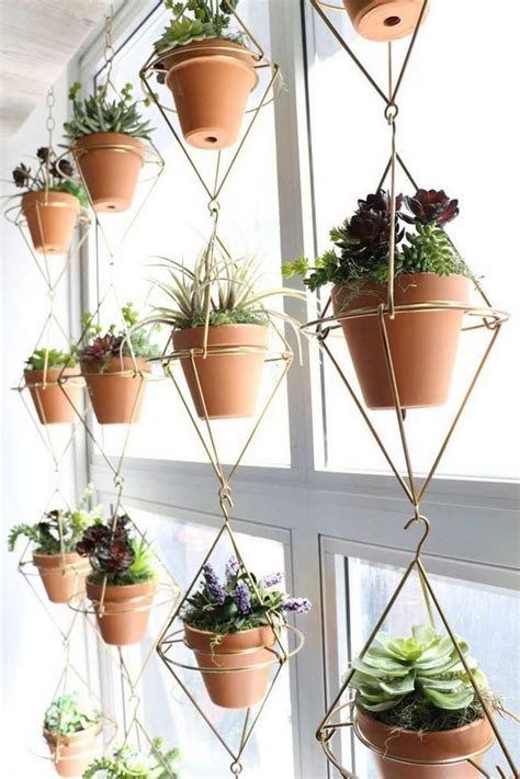 20 Top Hanging Plants Tips 89 Hanging Plants
