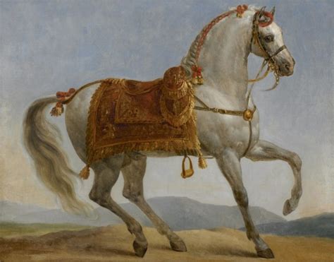 Marengo Napoleons Horse Was An Arabian Stallion