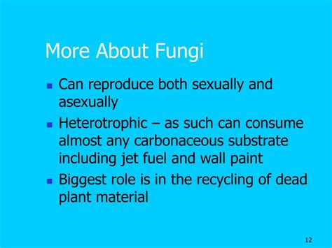 Ppt Theres A Fungus Among Us Powerpoint Presentation Free Download
