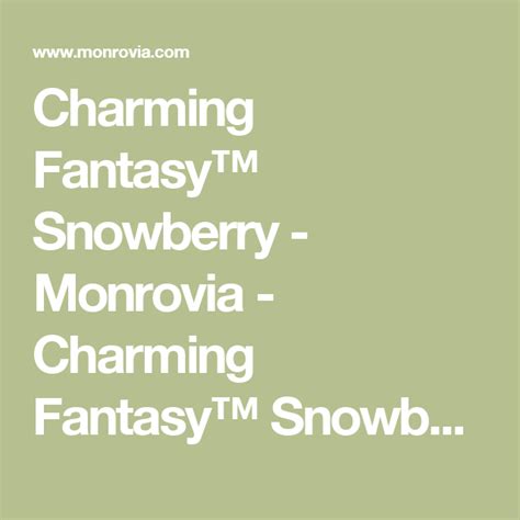 Charming Fantasy Snowberry Monrovia Charming Fantasy Snowberry