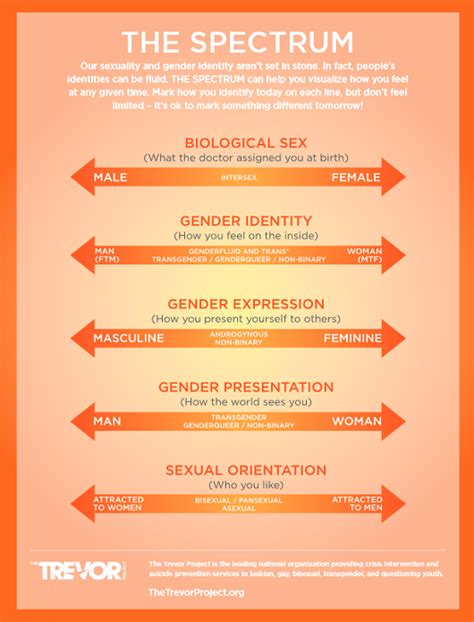 Sexuality Spectrum Printable Worksheet Some People Are Attracted To Certain Body Parts And Not