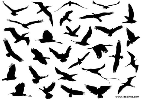 How To Draw A Bird Silhouette At Getdrawings Free Download