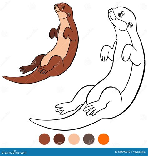 Coloring Page Little Cute Otter Swims Stock Vector Illustration Of
