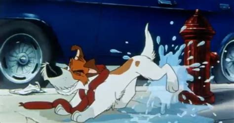 Why Should I Worry Oliver And Company S Dodger Photo 36973187 Fanpop