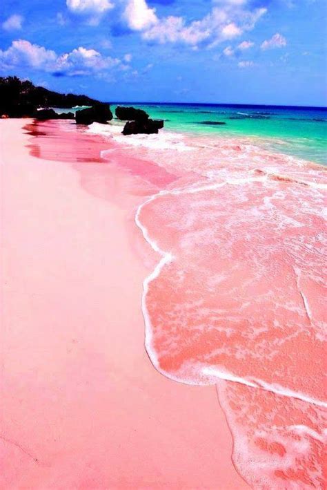 Uniknya Pantai Pasir Pink Liat Aja