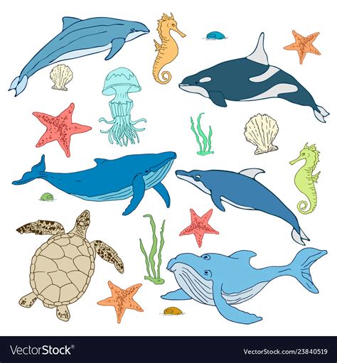 Set Of Cartoon Sea Animals Mollusks Royalty Free Vector