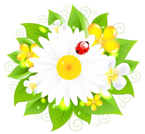 Daisy Decor Png Picture Gallery Yopriceville High Quality Images