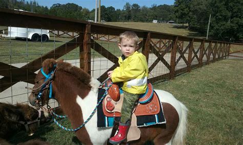 Pony Rides Trousdale Acres Tiny Hineys Travelin Farm