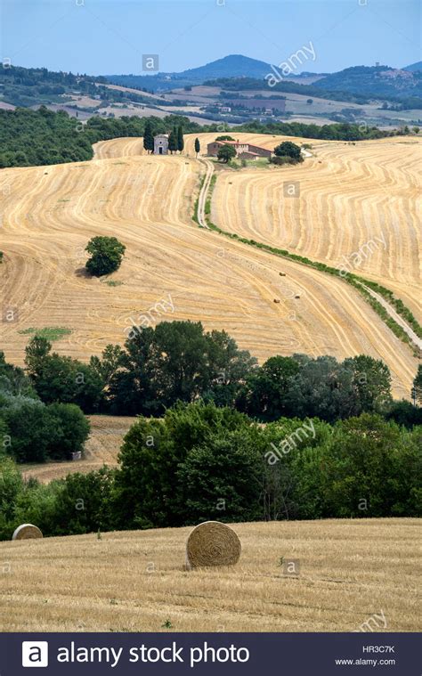 Scenic Tuscany Landscape With Rolling Hills And Valleys In Golden