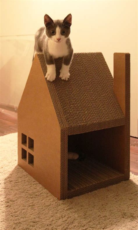 Katzen Diy Cardboard Cat House Cat Furniture Diy Cat Diy