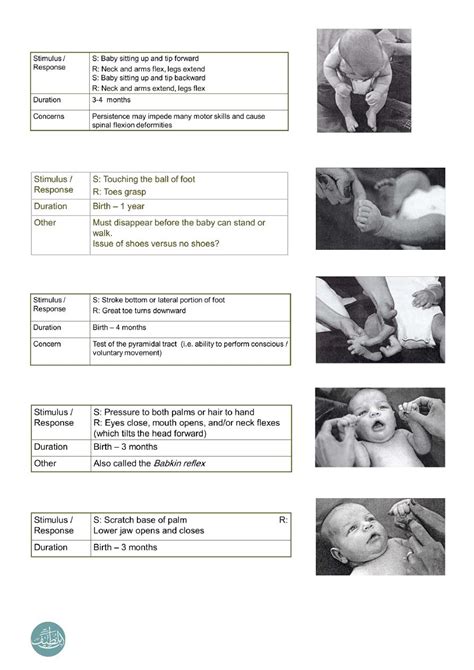 infant reflexes pdf ibnlatef muhadharaty