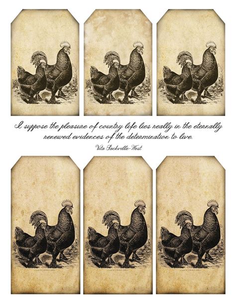 Maybe growing our own chickens wasn't for us. 1907 Flower Maidens | Primitive labels, Vintage printables ...