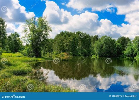Forest Lake Stock Photo Image Of Pond View Tree Hill 12048676