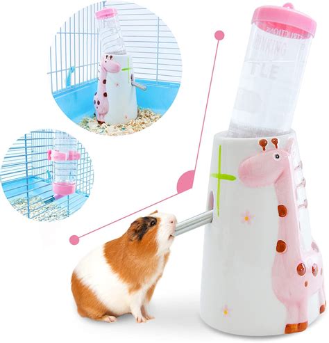 Buy Guinea Pig Water Bottle Small Animal Water Bottle No Drip