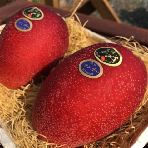 A Look Inside Japan S World Of Luxury Fruits Truly Classy