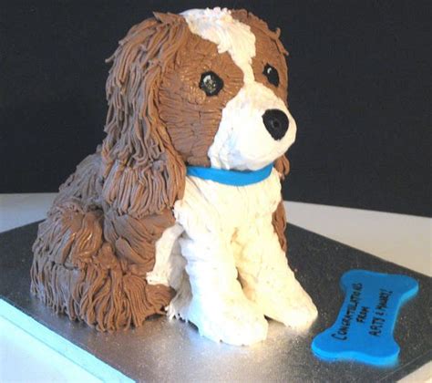 Custom Dog Cakes And Cake Disasters The Pet Blog Lady Celebrating Our