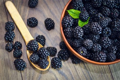 When it comes to keeping your brain healthy, eating blackberries is a smart. Blackberry Fruit - Benefits, Facts, & Healthy Recipes ...