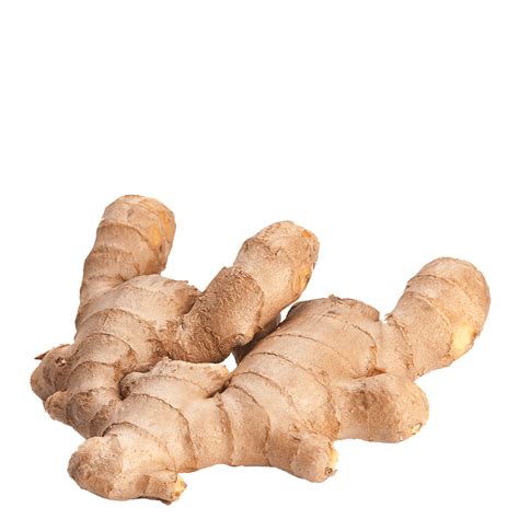 Ginger PNG Image For Free Download