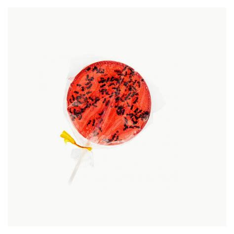 Strawberry And Ants Lollipops Indulging Yourself With The Best Insects
