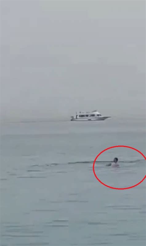 Graphic Video Captures Moment Russian Tourist Is Eaten Alive By Shark