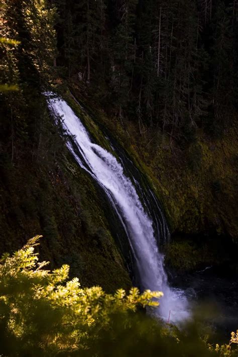 Guide To Umpqua National Forest Waterfall Hikes And Hot Springs