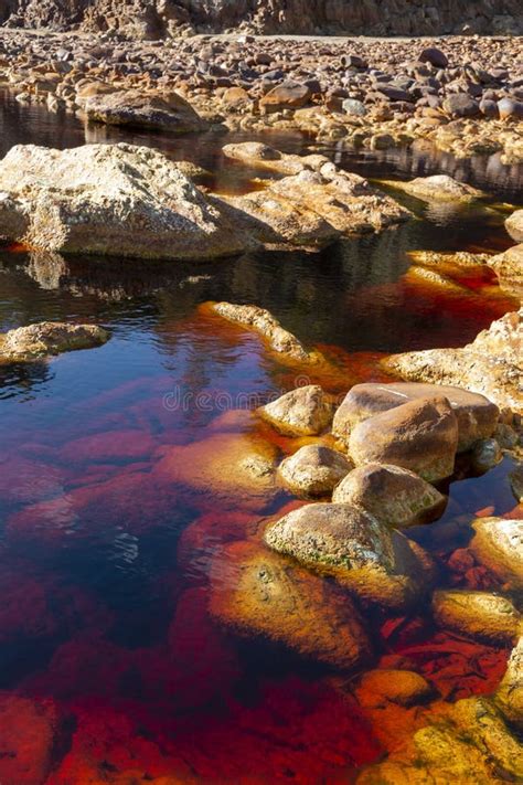 The Rio Tinto River Huelva Spainhas A Unique Red And Orange Colour