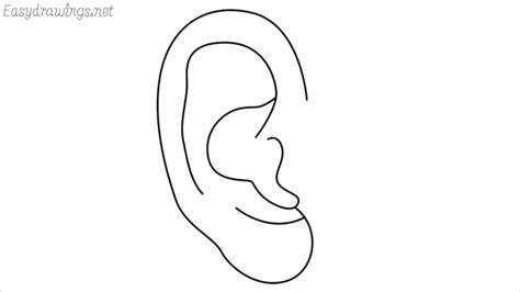 How To Draw An Ear Step By Step 5 Easy Phase
