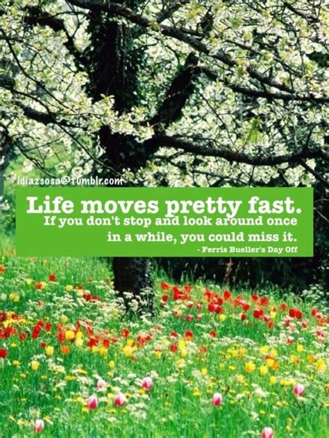 To borrow and bend a line from the legendary ferris bueller. Life moves pretty fast... (Ferris Bueller's Day Off, 1986) | Life moves pretty fast, Photo, Life