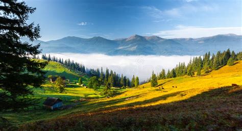 Beautiful Summer Landscape In The Mountains Stock Image Image Of