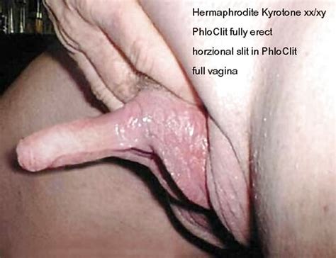 Hermaphrodite Huge Clit Hotnupics Com