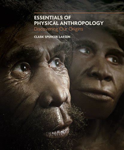 Essentials Of Physical Anthropology By Clark Spencer Larsen Isbn
