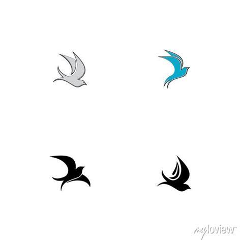 Creative Logo Design Swallow Bird Logo Vector Template Illustration