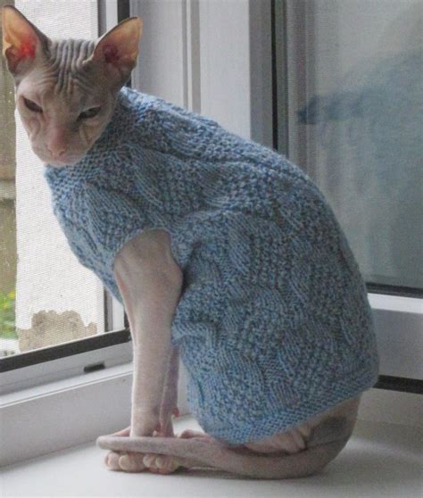 Sphynx cats and sphynx kittens for sale of talialida sphynx cattery. Cat clothes, sphynx clothes, clothes for sphynx, sphynx ...