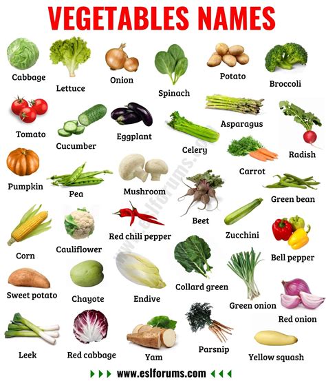 Vegetable Names Learn Different Types Of Vegetables With Pictures
