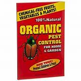 Organic Garden Pest Control Pictures