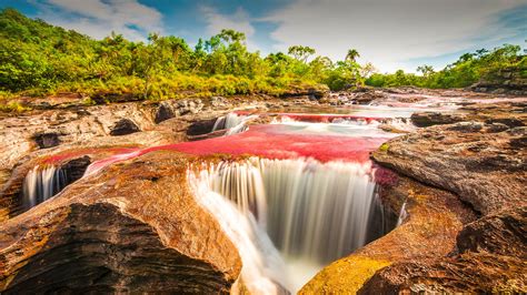 Multicolored River Caño Cristales Serrania De La Macarena Province Of