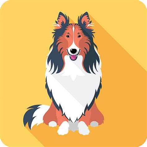 Collie Illustrations Royalty Free Vector Graphics And Clip Art Istock